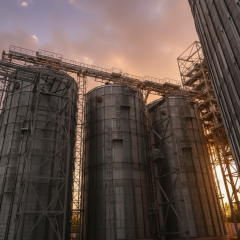 Grain scandal in Volitsa Agro