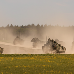Військові тренування Spring Storm 2026 в Естонії