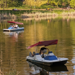 Люди в прохладной воде на пляже
