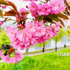 Weather forecast for May 6th