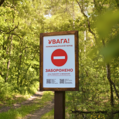 Кияни не можуть в ліс через пожежну небезпеку