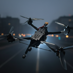 Law on drone control for police