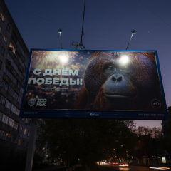 Баннер с орангутаном восстановили в Новосибирске