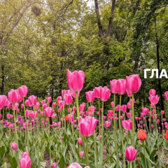 Небезпека пожежі та грози під час дощів