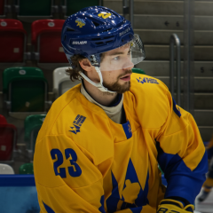Ukraine in top division of hockey