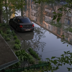 City under bombardment: fecal apocalypse