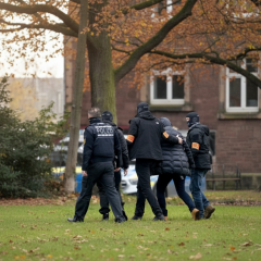 Extradition of Ukrainian from Germany