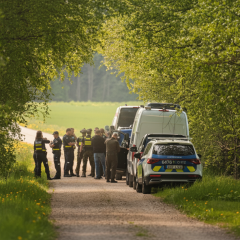 Збитий безпілотник над Естонією