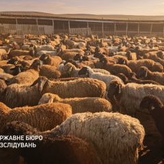 NABU uncovered scheme of embezzlement in veterinary hospital