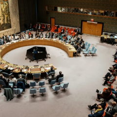 Representatives of 50 UN countries condemned RF aggression