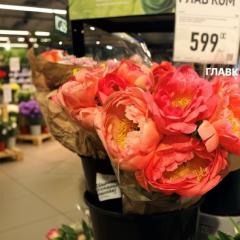 Peonies in Kyiv: prices bite