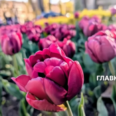 Weather forecast in Ukraine is changing