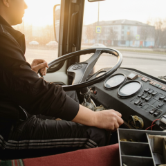 Seniors - rules of free transportation