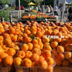 Exhibition at the photo of the fair in Kyiv