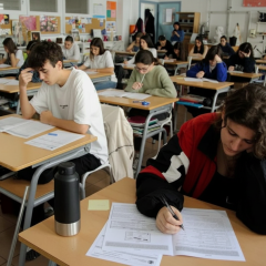 Mathematics removed from compulsory subjects