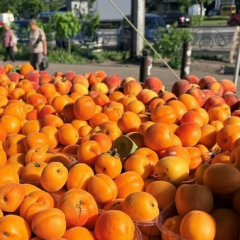 Imported apricots and peaches on Kyiv markets