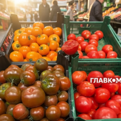 Цены на помидоры упали на 15%