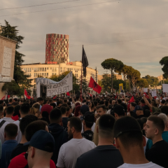 Протесты фламинго на курорте в Албании