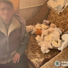 Женщина в тюрьме за кражу игрушек