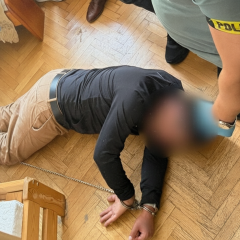 Арестованный подозреваемый в убийстве художника