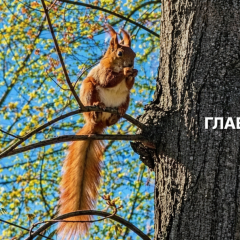 Теплий літній день з сонцем