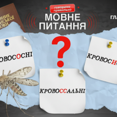 Пояснення граматичної правильності прикладів