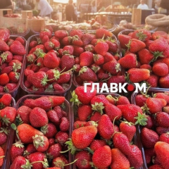 Seasonal fairs in Kyiv
