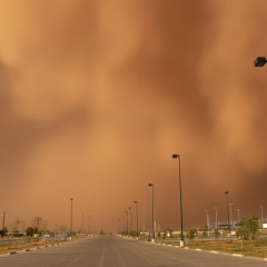Massive Dust Storms Threaten Southern Ukraine as Shelterbelts Deteriorate