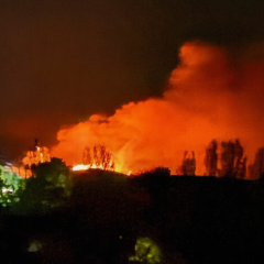 Беспилотники вызвали пожар в Бердянске
