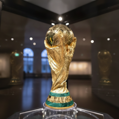 Главный фаворит Чемпионата мира по футболу