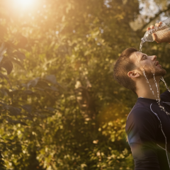 Heatwave in Europe claimed 55 lives