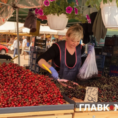 Вишня на рынках Киева: разница в ценах