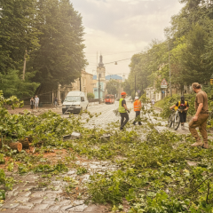 Gale force wind in Lviv: fallen trees and damaged office building