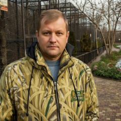 Власнику парку левів Тайган оголосили підозру