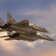 Poland refused to transfer MiG-29