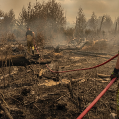 Пожежники ліквідують загоряння у Чорнобильській зоні