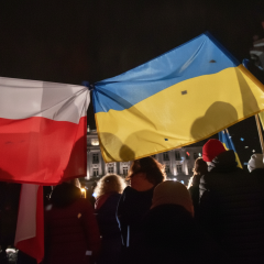 Ukraine Lacks Leverage Against Poland Over UPA Issue, Says Vyatrovych