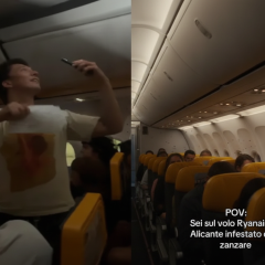 комарі в літаку, скасування рейсу Ryanair