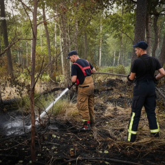 Rescuers extinguished a massive fire in the Chernobyl zone