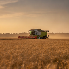 Government changes rules for agro-export payments due to Russian attacks on ports