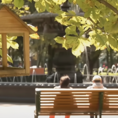 Тепла погода та невеликі дощі вихідних