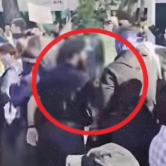 Задержание организатора акции против вырубки дерев на Теремках