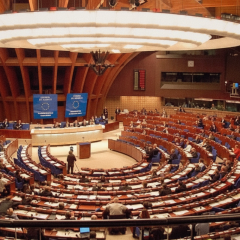 Рада Європи підтримує Україну на виборах