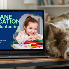 Украинский проект UAnimals и Suziria Group