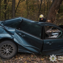 Фото автокатастрофы в Харьковской области