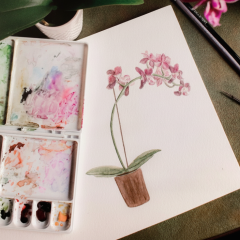 Creative courses for stress relief