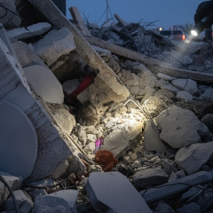 Cat found under debris after airstrike
