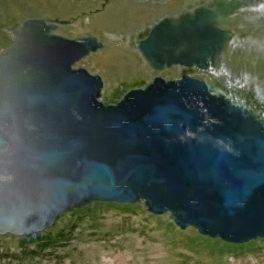 Украина заблокировала попытку России возглавить Комиссию по защите Чёрного моря и призвала оценить экологический ущерб войны