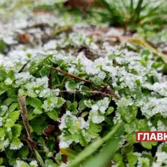 Синоптики попереджають про заморозки
