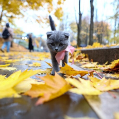 Weather surprise: +16 degrees at the end of October